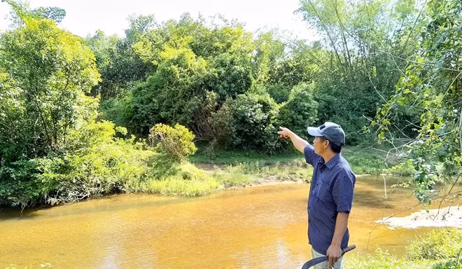 Ông Lữ chỉ những cánh rừng keo lá tràm nằm trong diện tích quy hoạch "treo" của dự án KDLST suối nước nóng Tây Viên.