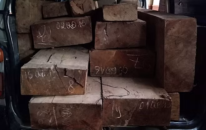 Số gỗ lậu trên ôtô 16 chỗ được phát hiện.