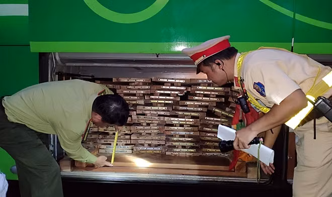 Lực lượng chức năng kiểm đếm gỗ lậu trên ôtô khách.