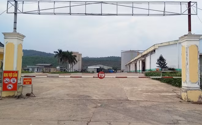 Nhà máy cồn Đại Tân vẫn chưa thể hoạt động trở lại sau sự cố rò rỉ dầu fusel.