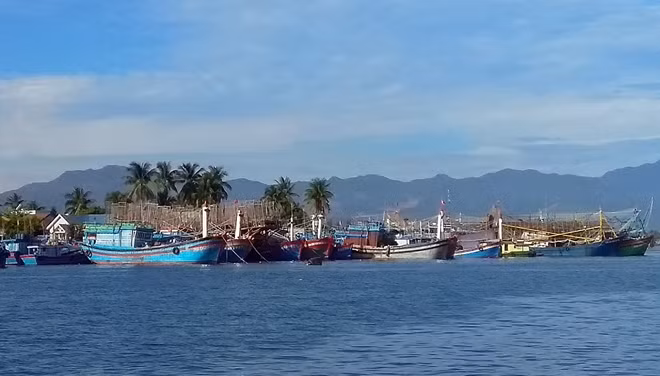Tàu câu mực khơi của ngư dân huyện Núi Thành, tỉnh Quảng Nam (Ảnh minh họa).