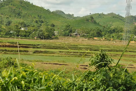 Cánh đồng của thôn Đồng Bèn giờ rất ít người có thể cấy lúa được do bùn từ trên núi tràn xuống.