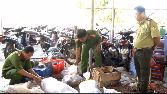 Cơ quan chức năng tạm giữ số động vật hoang dã nuôi nhốt trái phép tại nhà ông Nguyễn Hữu Th. Ảnh : Cao Minh