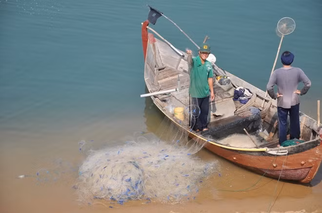 Tàu đánh cá có công suất lớn cho đến những thuyền máy nhỏ hoạt động gần bờ đều chủ động vào bờ để neo đậu tránh bão. Ảnh : Hữu Toàn