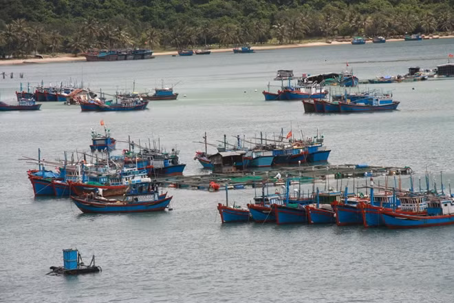 Tàu thuyền của ngư dân vận hành về vịnh Vũng Rô ở phía Nam Phú Yên để tránh bão. Ảnh: Hữu Toàn