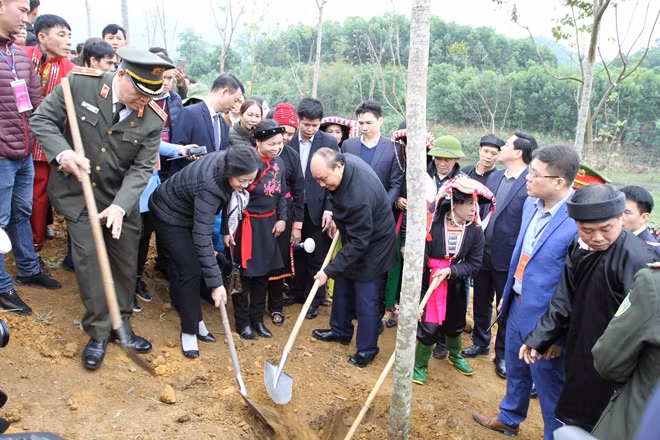 Thủ tướng Nguyễn Xuân Phúc cùng các đại biểu tham gia trồng cây.