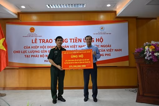 Người Việt ở nước ngoài ủng hộ lực lượng gìn giữ hoà bình Việt Nam chống COVID-19