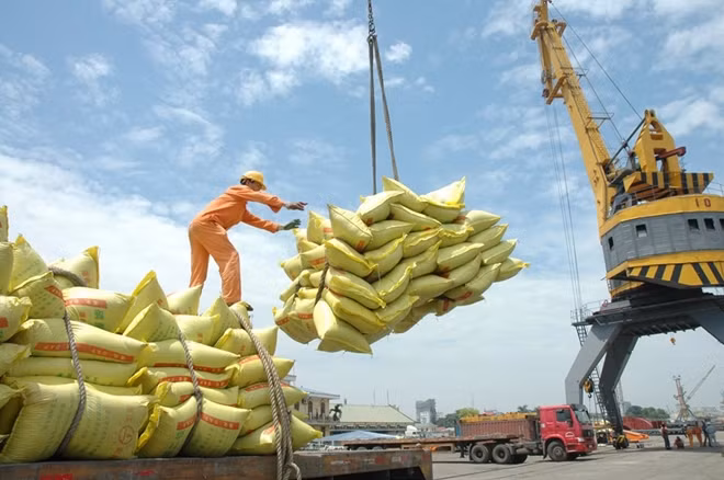Ngành nông nghiệp sẽ đan xen cơ hội phát triển cũng như thử thách khi Việt Nam tham gia CPTPP. ảnh: TL