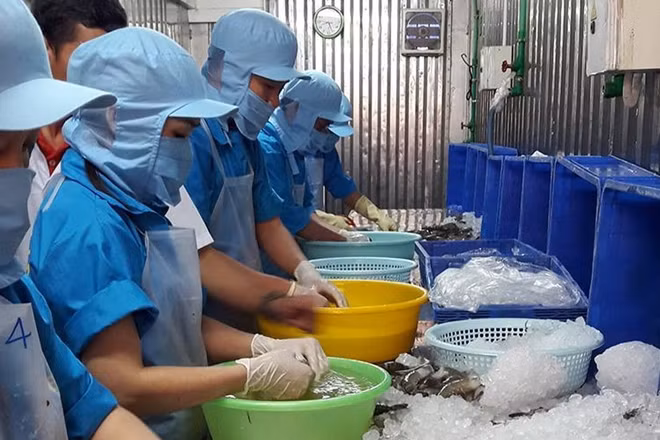 Thỏa thuận thương mại sẽ cho phép giảm 99% thuế quan đối với tất cả các mặt hàng, trong đó, một số mặt hàng sẽ giảm thuế theo thời gian, lộ trình cụ thể và một số sẽ bị giới hạn về hạn ngạch.
