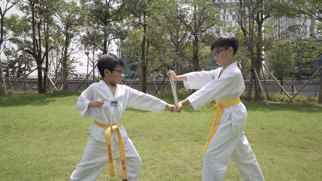 Các bạn nhỏ biểu diễn Taekwonmu.