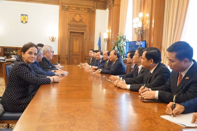 Thủ tướng Nguyễn Xuân Phúc hội kiến với Chủ tịch Thượng viện Rumania.