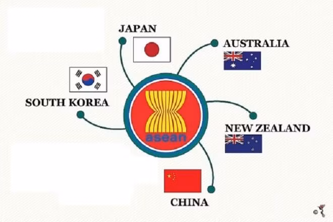 RCEP gồm 10 quốc gia thành viên ASEAN và 5 đối tác là Trung Quốc, Nhật Bản, Hàn Quốc, Australia và New Zealand.