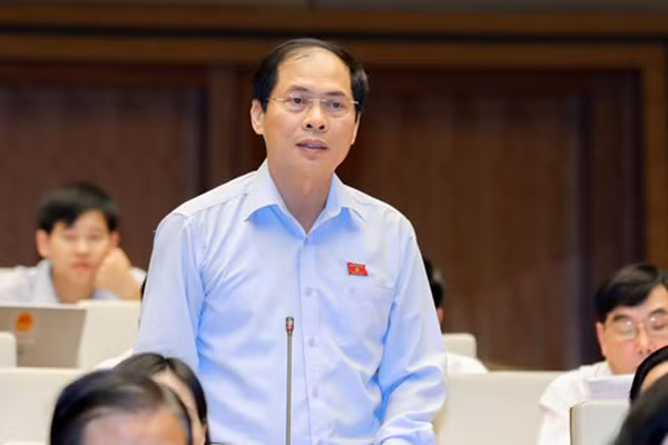 Thứ trưởng Bộ Ngoại giao Bùi Thanh Sơn