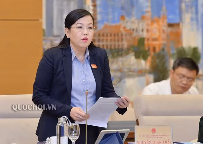 Bà Nguyễn Thanh Hải trình bày báo cáo