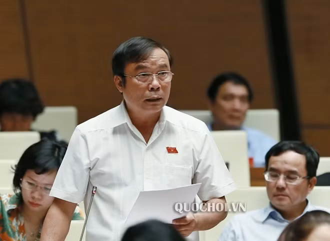 Đại biểu Nguyễn Bá Sơn (Đà Nẵng)