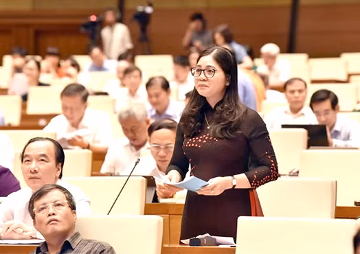 Đại biểu Leo Thị Lịch Đại biểu Leo Thị Lịch