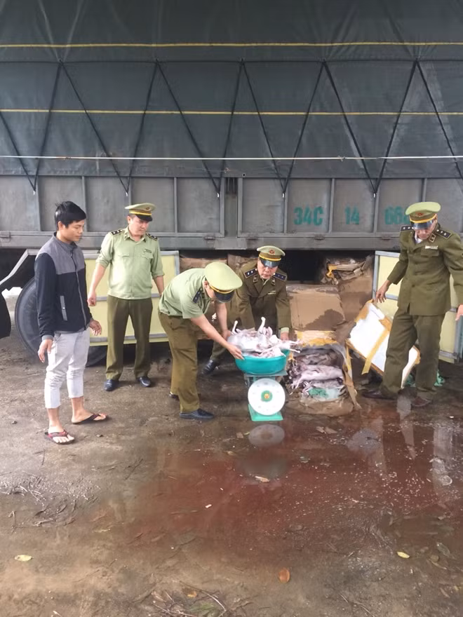 Trên xe chở gần 420 kg thịt động vật đã được làm sạch