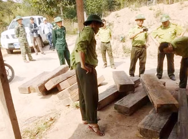 Sau khi khai thác phá rừng các đối tượng vận chuyển đi lại như “chốn không người” ở Phong Nha Kẻ Bàng.
