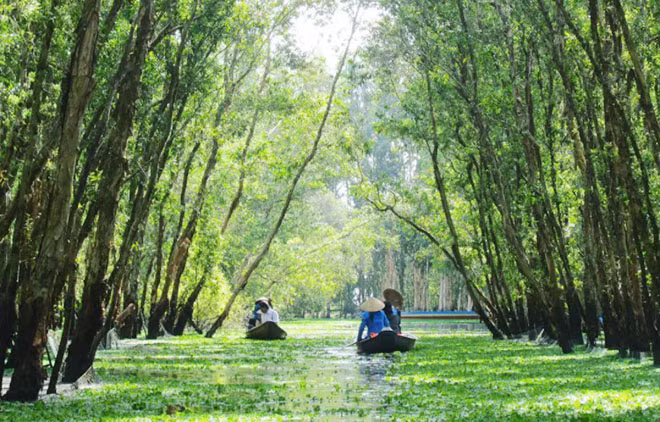 Phượt trên cung đường xanh của Trà Sư.
