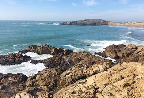 Một vùng biển mà sư tử biển nằm nghỉ ở bên bờ biển Baja California, nơi đây nổi tiếng với quần thể tự nhiên trên đại dương giàu có và nguyên sơ.