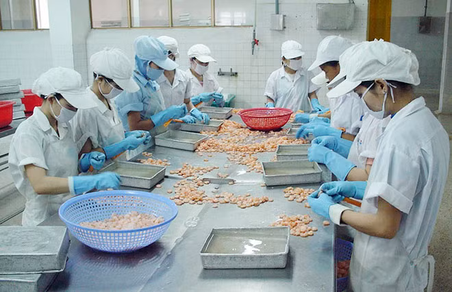 Nhiều ngành nghề người lao động muốn nghỉ hưu sớm do đặc thù công việc.