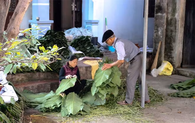 Không ai biết rõ là nghề có từ khi nào, chỉ biết rằng nghề làm bánh chưng đã được “cha truyền con nối” từ thế hệ này đến thế hệ khác, trẻ con ngay từ nhỏ đã được ông bà, cha mẹ dạy cách gói và làm bánh vì thế mà cứ ngấm vào máu thịt mà lưu giữ đến ngày nay.