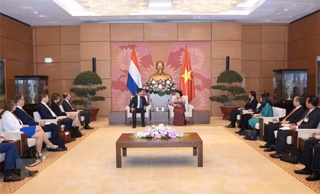 Chủ tịch Quốc hội Nguyễn Thị Kim Ngân tiếp Thủ tướng Vương quốc Hà Lan Mark Rutte. (Ảnh: Dương Giang/TTXVN)