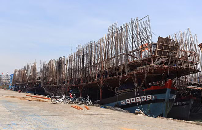 Nhiều tàu câu mực của ngư dân do không tiêu thụ được sản phẩm đánh bắt nên phải nằm bờ.