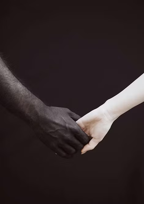 Ảnh: L.G. Ảnh: L.G.