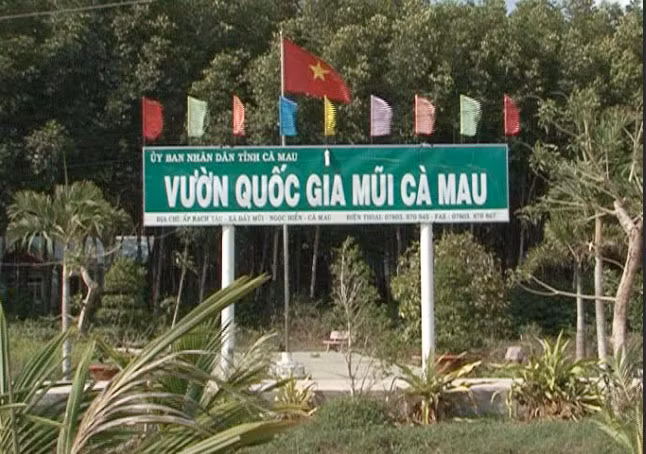 Vườn Quốc gia Mũi Cà Mau, nơi phát hiện sai phạm về tài chính hàng tỉ đồng.