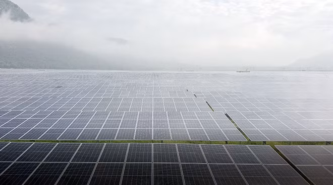 Cánh đồng pin điện mặt trời Sao Mai Solar PV1 - mô hình du lịch độc đáo thu hút du khách.