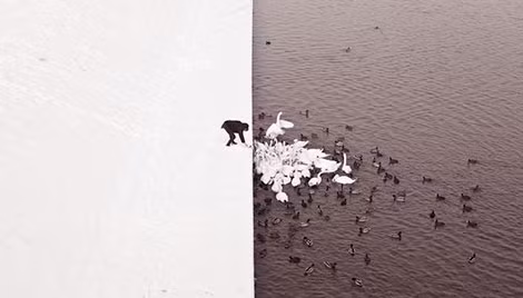 Ảnh: L.G. Ảnh: L.G.