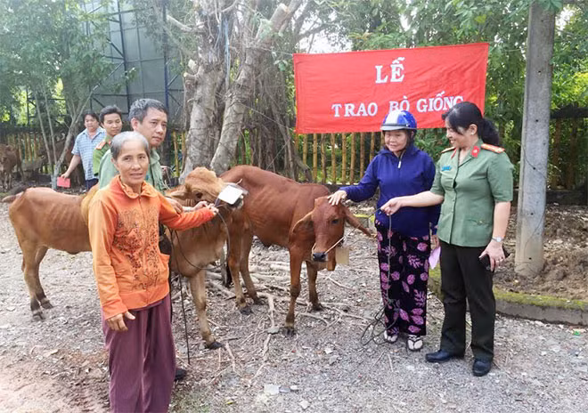 Công an tặng bò giống cho hộ nghèo trong đợt ra quân.