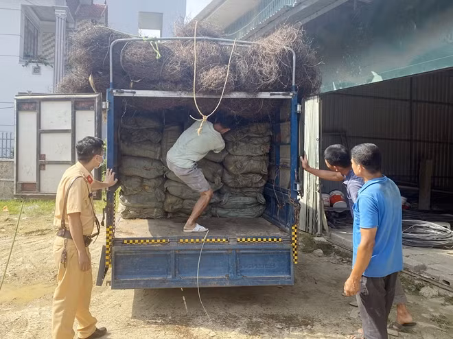Số hàng hơn 2 tấn nguyên liệu thuốc lá nhậu lậu bị phát hiện.