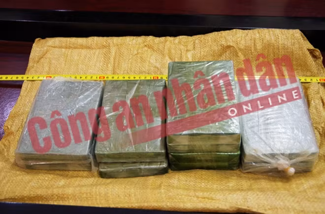 Tang vật là 10 bánh heroin được thu giữ.