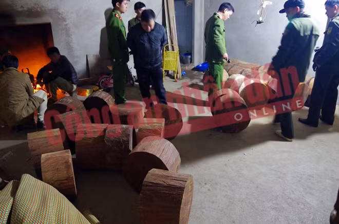 Hiện trường nơi chứa các khúc gỗ nghiến.