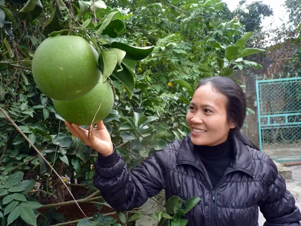 Chị Mười cố gắng sống lạc quan, nuôi các con nên người.