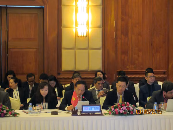 Đoàn Việt Nam tại Hội nghị SOMTC 15.