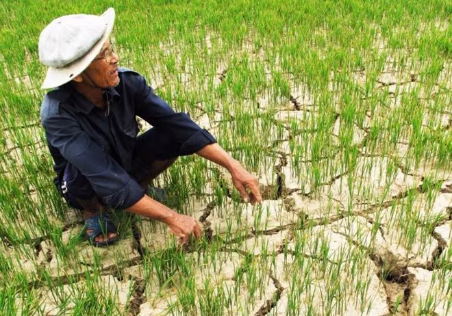 El Nino đã gây ra đợt hạn hán lịch sử