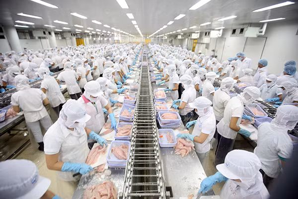Việt Nam sẽ bước vào sân chơi rộng cùng các nền kinh tế lớn. Việt Nam sẽ bước vào sân chơi rộng cùng các nền kinh tế lớn.