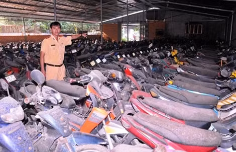 Hàng loạt xe máy vi phạm bị tạm giữ đã nhiều tháng nhưng không có người đến làm thủ tục nhận.