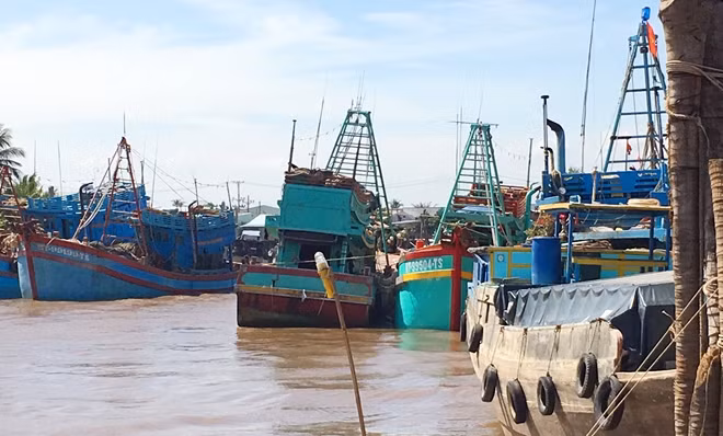 Tỉnh Bến Tre nghiêm cấm các tàu thuyền ra khơi, chủ động ứng phó với cơn bão số 9.
