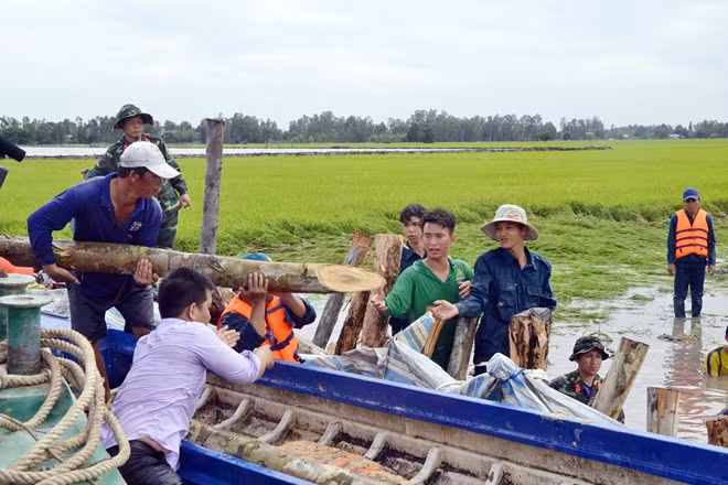 Huyện biên giới Tri Tôn đang dồn sức cùng bà con triển khai mọi phương án để "cứu" hàng ngàn hecta lúa bị uy hiếp do nước lũ.