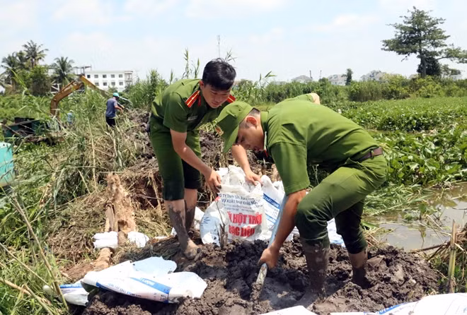 CBCS Công an TP Cần Thơ cùng nhân dân gia cố đê bao.