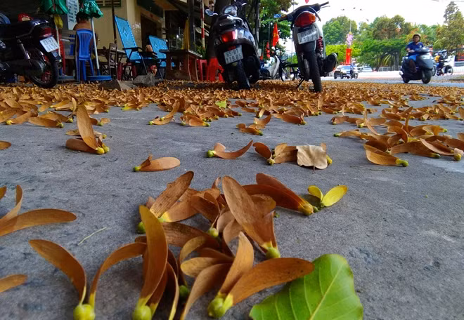 ... thả mình trên những tuyến phố, con đường.