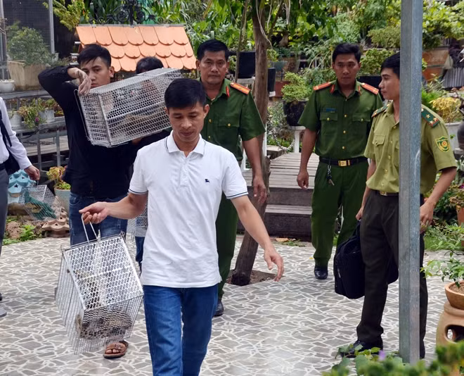 Người dân Bến Tre bàn giao nhiều cá thể động vật quý hiếm cho Cơ quan chức năng.