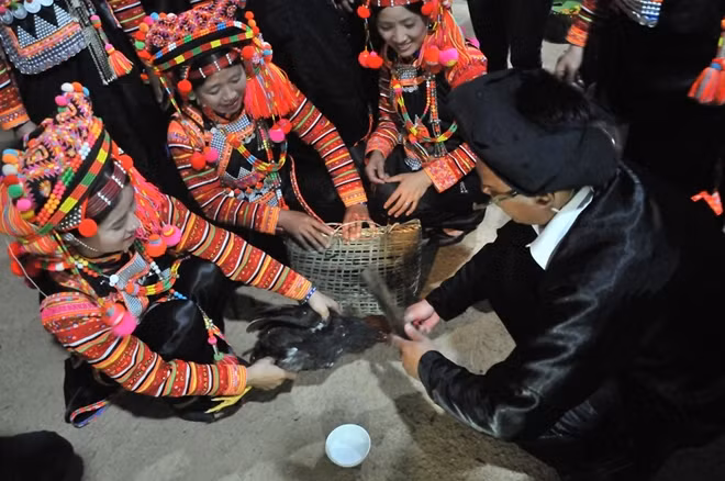 Cắt tiết gà làm lễ.