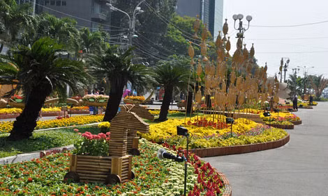 Đường hoa Nguyễn Huệ sẽ được thay thế bằng Đường hoa Tết Ất Mùi 2015 tại đường Hàm Nghi.