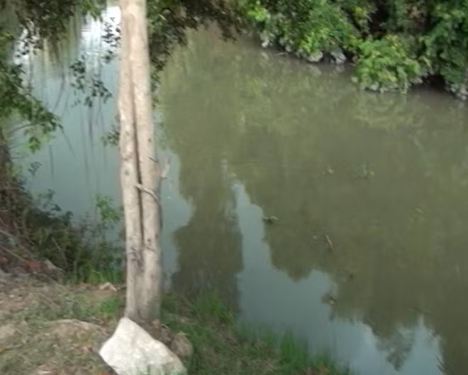 Đoạn sông, nơi cụ Phương và cháu Trà trượt chân ngã xuống dẫn đến tử vong.