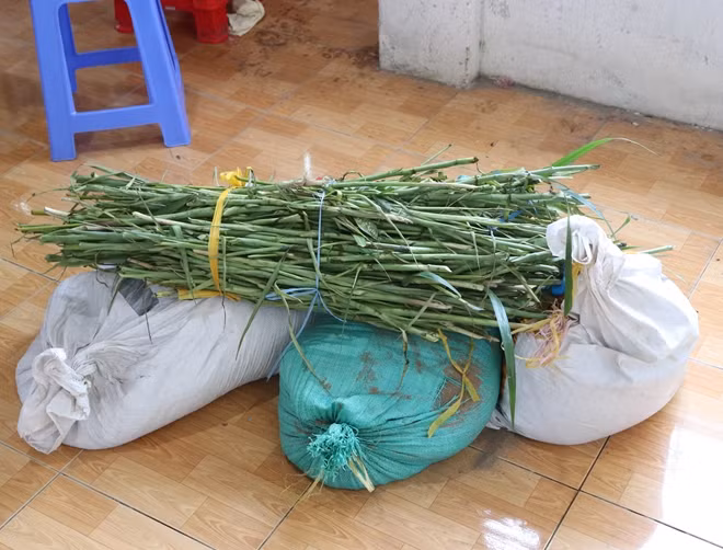 Trong quan tài có 3 bao cát và hoa huệ.